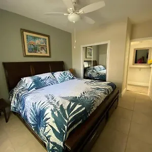 https://beautiful-apartment-in-tampa-a.hotelstampa.org